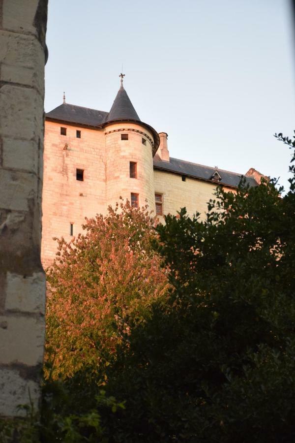 Au Relais Saint Maurice Bed and Breakfast Chinon Esterno foto